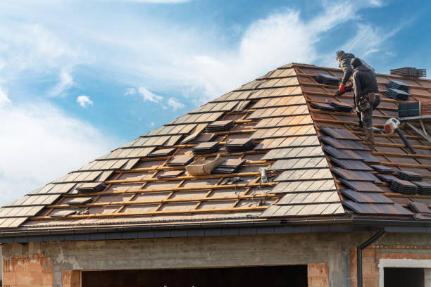 Best Emergency Roof Repair Services  in Mountain Lake, MN